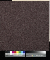 Flavia 2931