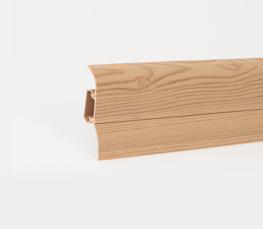 Canadian Elm
