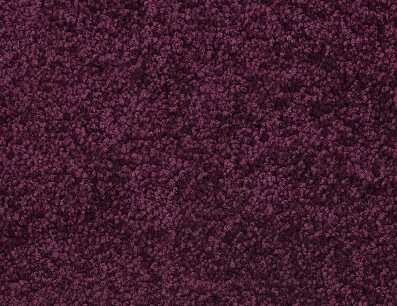 Berry Jam