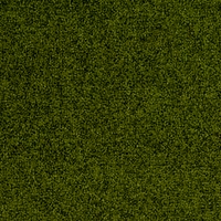Palatino 7862