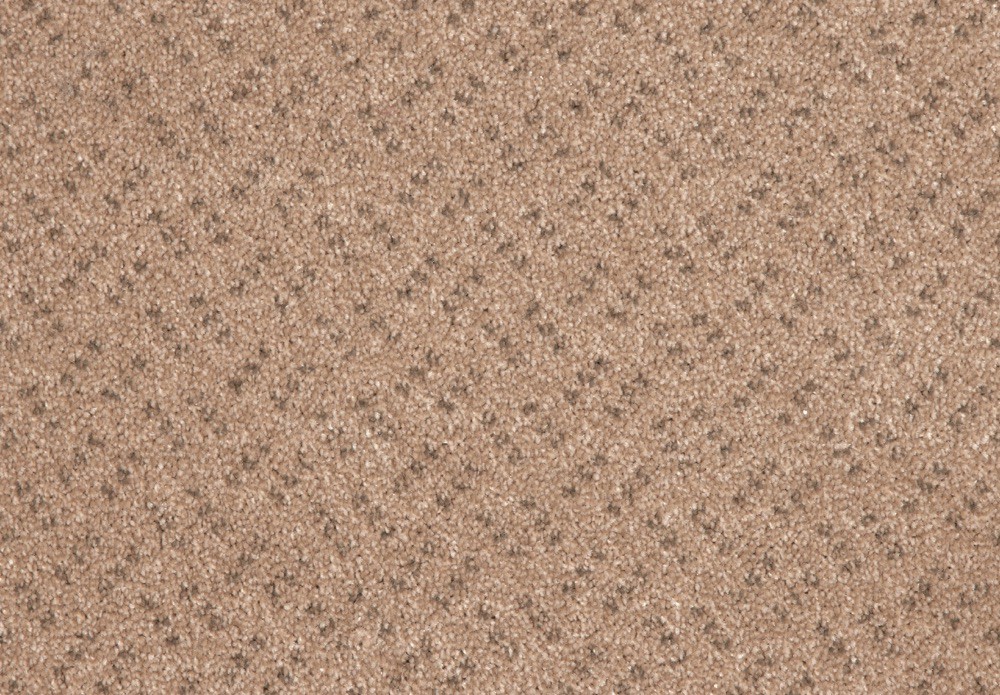 231