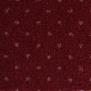 Ambassador 10