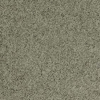 Palatino 2923
