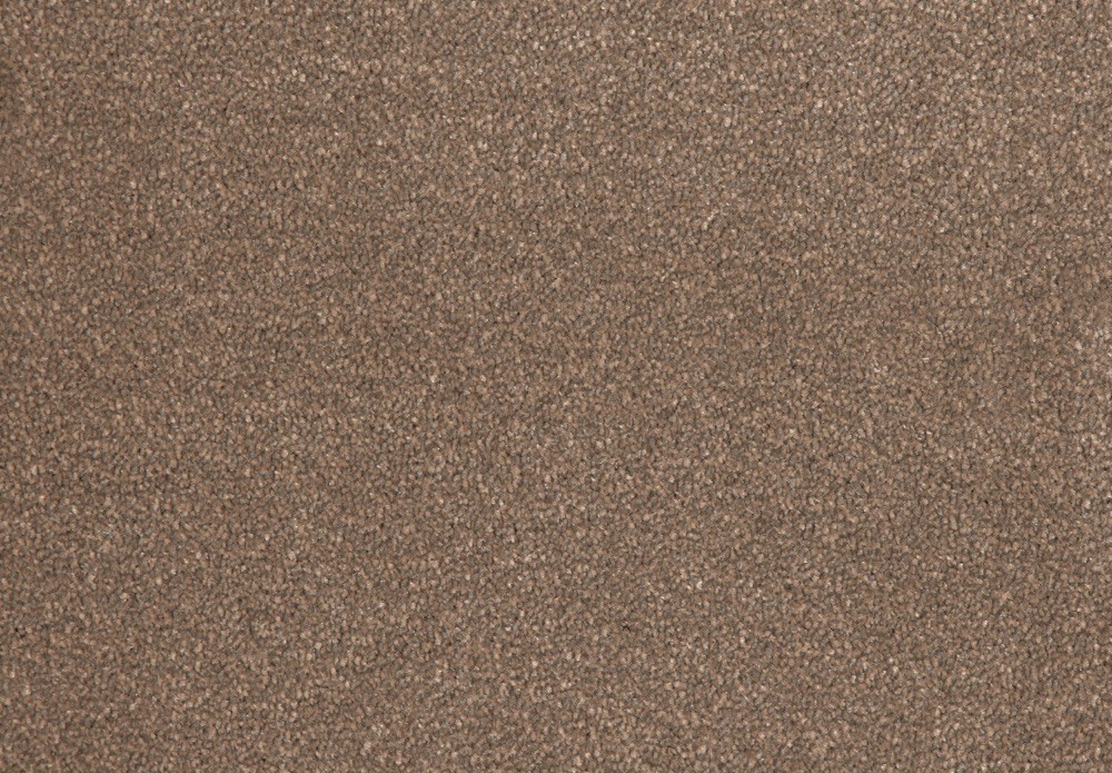 261