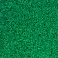 Palatino 8152
