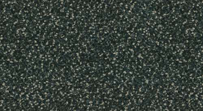 Flavia 9501